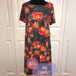 Xs floral Lularoe Carly dress